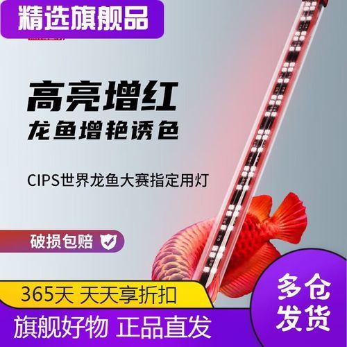 有哪些品牌金龍魚燈光推薦，金龍魚燈光品牌推薦 有哪些品牌金龍魚燈光推薦，金龍魚燈光品牌推薦 龍魚百科 第20張