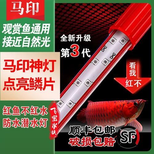 有哪些品牌金龍魚燈光推薦，金龍魚燈光品牌推薦 有哪些品牌金龍魚燈光推薦，金龍魚燈光品牌推薦 龍魚百科 第8張