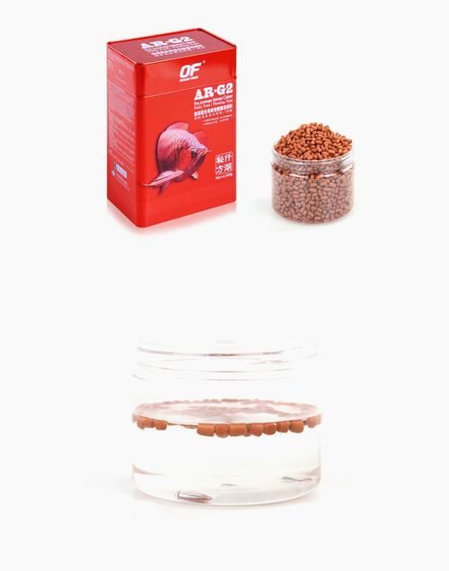 有哪些品牌飼料推薦給過背金龍魚，過背金龍魚專用飼料