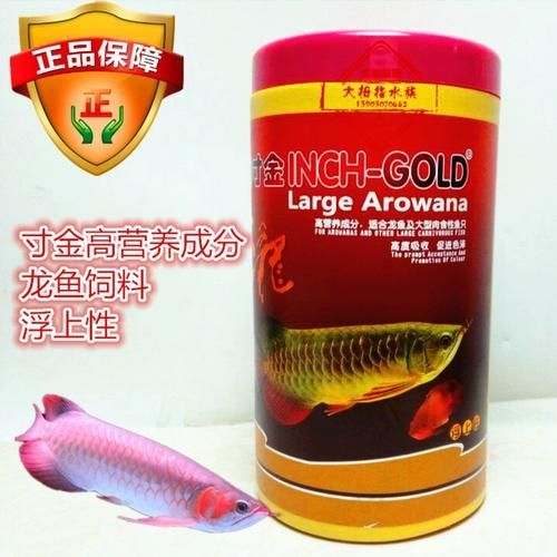 有哪些品牌飼料推薦給過背金龍魚，過背金龍魚專用飼料