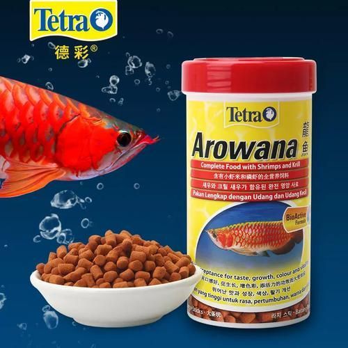 有哪些品牌飼料推薦給過背金龍魚，過背金龍魚專用飼料