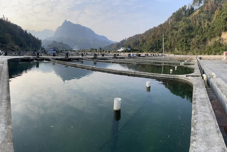 三都水族自治縣有哪些特色水產(chǎn)養(yǎng)殖項(xiàng)目，三都水族自治縣有哪些特色水產(chǎn)養(yǎng)殖項(xiàng)目的特色水產(chǎn)養(yǎng)殖項(xiàng)目
