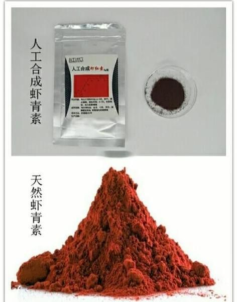 如何改善小紅龍魚的體色，如何改善小紅龍魚體色