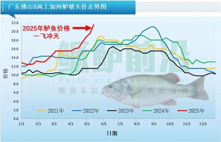 觀賞魚市場價格波動大有哪些原因,觀賞魚市場價格波動大有哪些原因用戶要求詳細解釋 龍魚百科 第5張 觀賞魚市場價格波動大有哪些原因,觀賞魚市場價格波動大有哪些原因用戶要求詳細解釋 觀賞魚市場價格波動大有哪些原因,觀賞魚市場價格波動大有哪些原因用戶要求詳細解釋 龍魚百科 第5張
