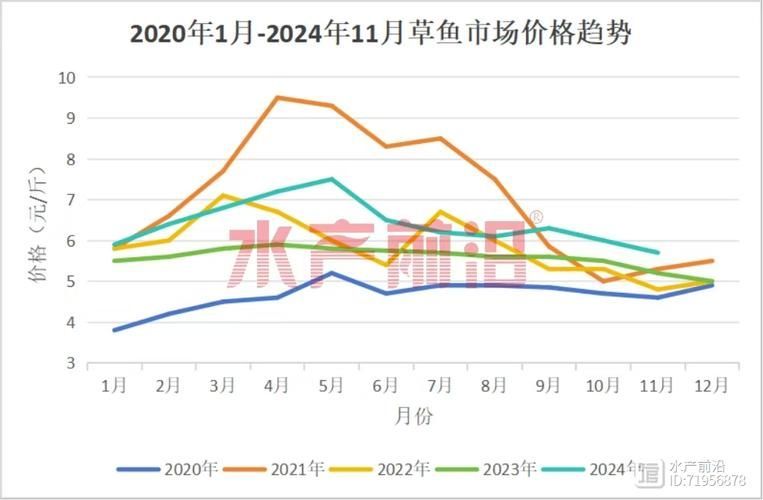觀賞魚市場價格波動大有哪些原因,觀賞魚市場價格波動大有哪些原因用戶要求詳細解釋 龍魚百科 第1張 觀賞魚市場價格波動大有哪些原因,觀賞魚市場價格波動大有哪些原因用戶要求詳細解釋 觀賞魚市場價格波動大有哪些原因,觀賞魚市場價格波動大有哪些原因用戶要求詳細解釋 龍魚百科 第1張