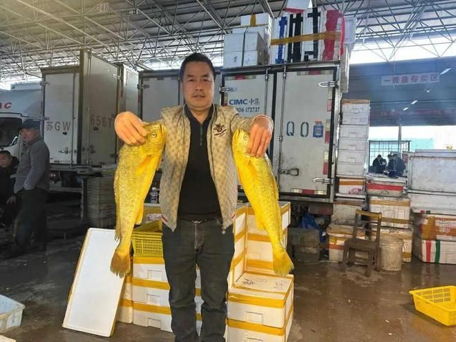 觀賞魚市場價格波動大有哪些原因,觀賞魚市場價格波動大有哪些原因用戶要求詳細解釋 龍魚百科 第14張 觀賞魚市場價格波動大有哪些原因,觀賞魚市場價格波動大有哪些原因用戶要求詳細解釋 觀賞魚市場價格波動大有哪些原因,觀賞魚市場價格波動大有哪些原因用戶要求詳細解釋 龍魚百科 第14張
