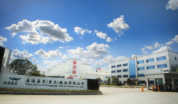 請提供一張金龍魚公司的圖片，金龍魚公司的發展歷程