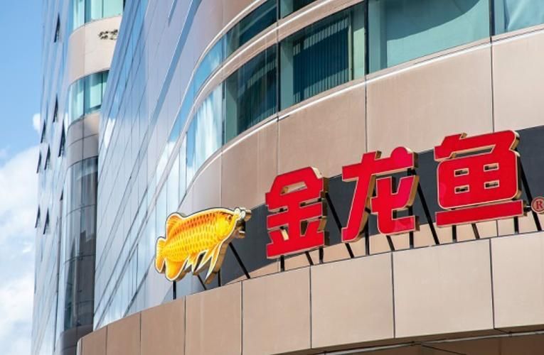 請提供一張金龍魚公司的圖片，金龍魚公司的發展歷程