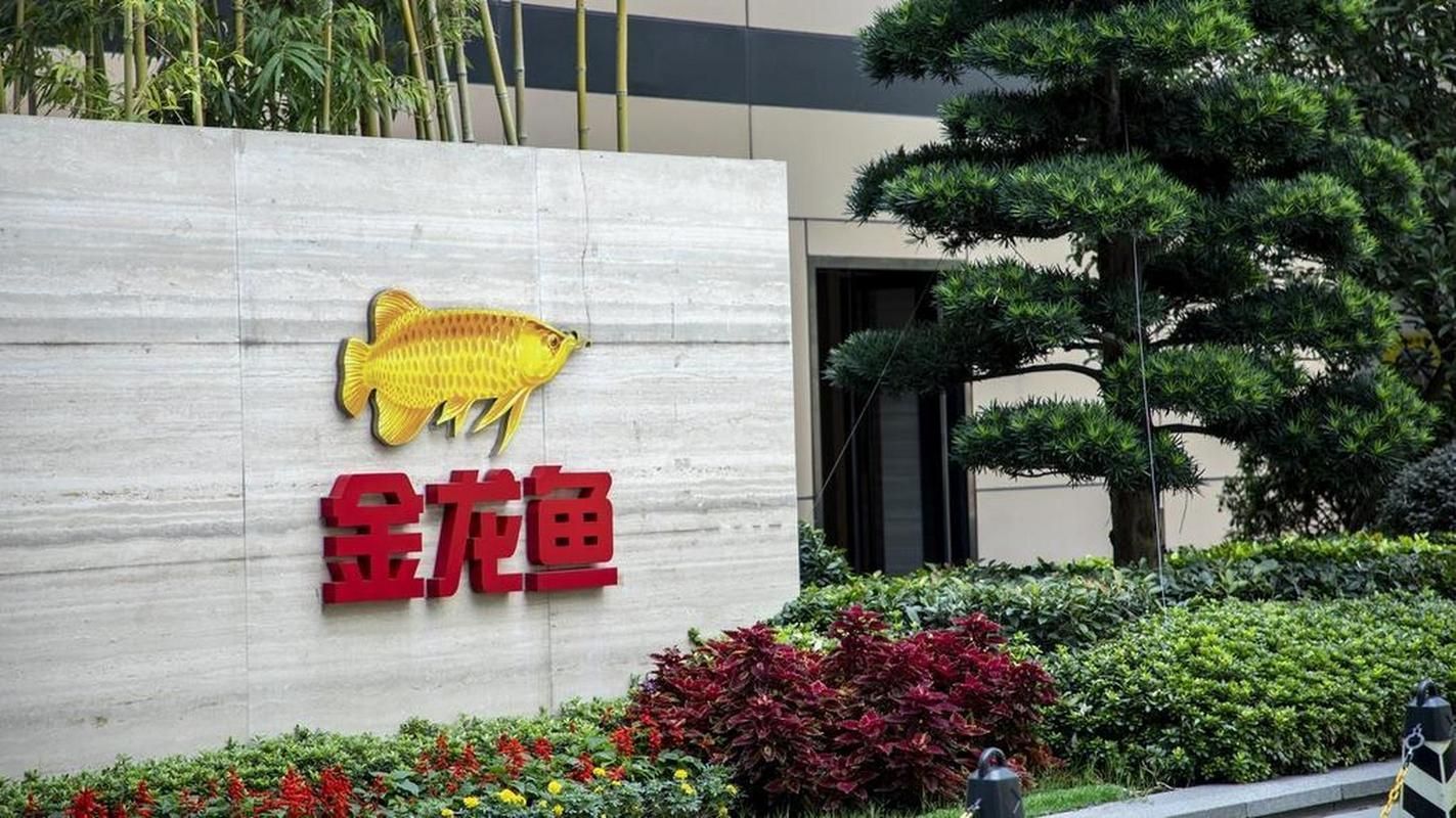 請提供一張金龍魚公司的圖片，金龍魚公司的發展歷程