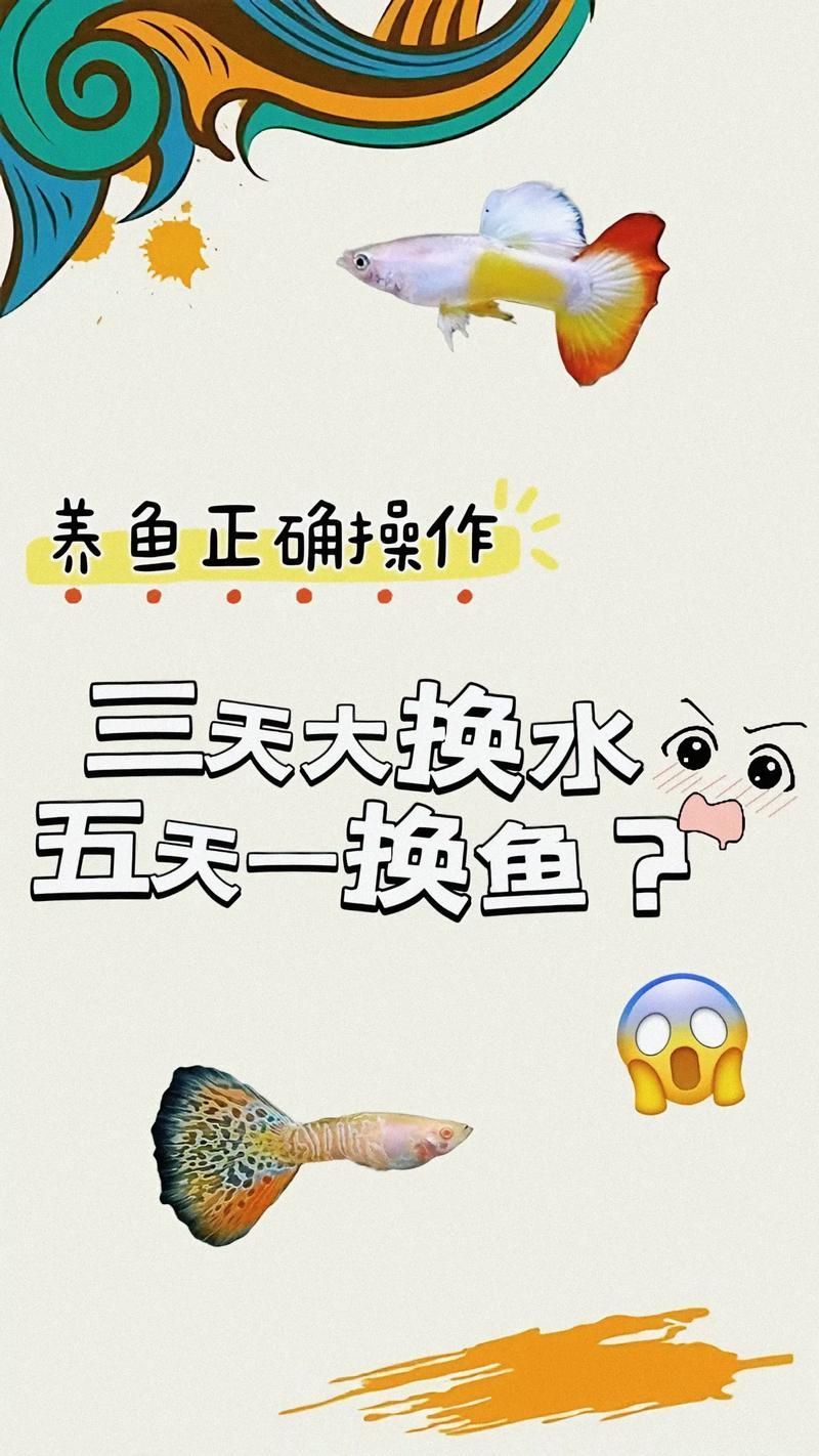 養魚有哪些禁忌事項，養魚禁忌事項 養魚有哪些禁忌事項，養魚禁忌事項 龍魚百科 第4張