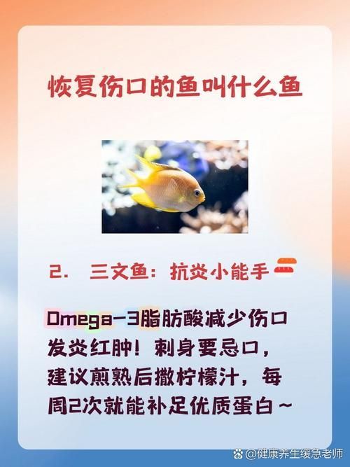 如何搭配食物以促進(jìn)魚傷口愈合，如何搭配魚類傷口愈合營(yíng)養(yǎng)搭配方案