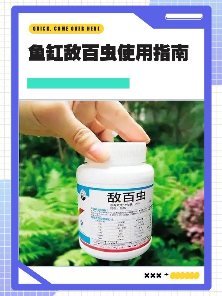 如何正確使用龍魚0號殺蟲藥？，龍魚0號殺蟲藥正確使用指南