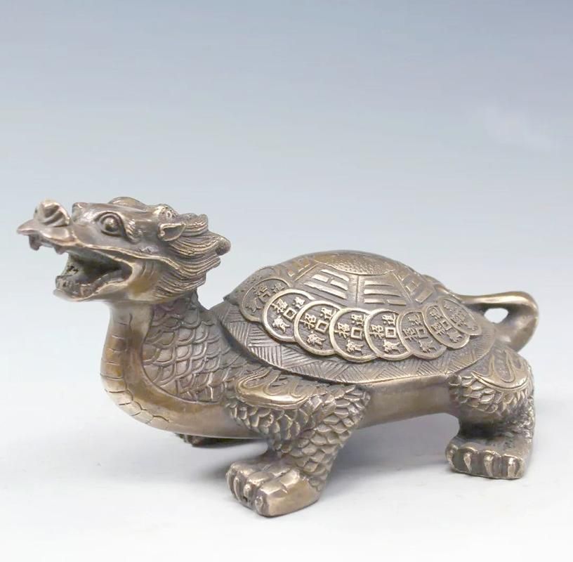 龍龜頭朝向正確圖有哪些實例，龍龜頭朝向正確圖實例解析龍龜頭朝向正確圖有哪些實例