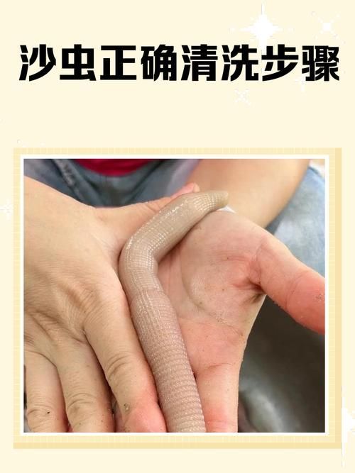 如何安全地喂食面包蟲給龍魚？，如何安全地喂食面包蟲給龍魚，用戶要求詳解如何安全地喂食面包蟲給龍魚