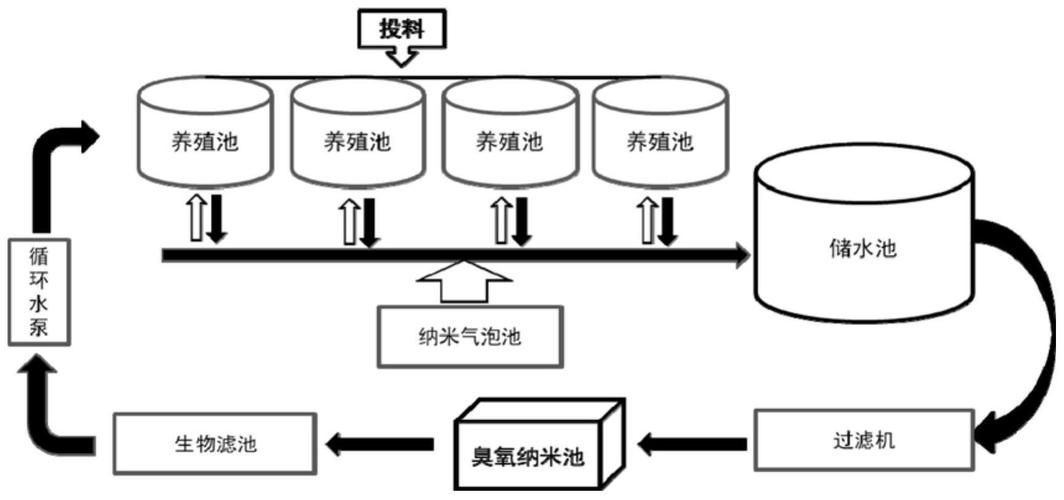 工廠化養殖模式如何降低發病率，工廠化養殖模式通過高度控制與生物安全閉環管理的五大技術路徑
