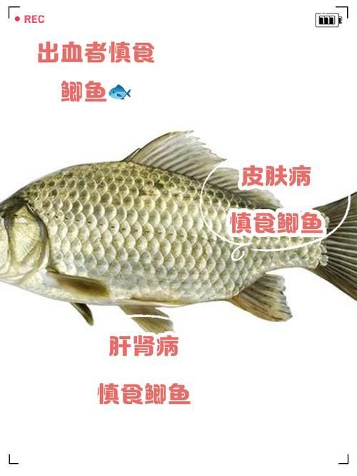 哪些藥物對特定魚種安全，哪些藥物對特定魚種安全思考完成 哪些藥物對特定魚種安全，哪些藥物對特定魚種安全思考完成 龍魚百科 第2張