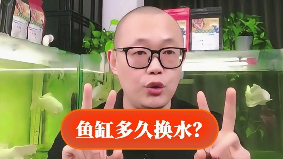 龍魚蹭缸多久需要換水？