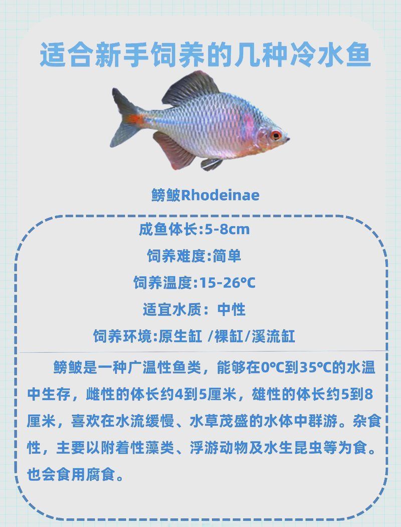 有哪些冷水魚品種適合西安地區養殖，有哪些適合西安地區養殖的冷水魚品種