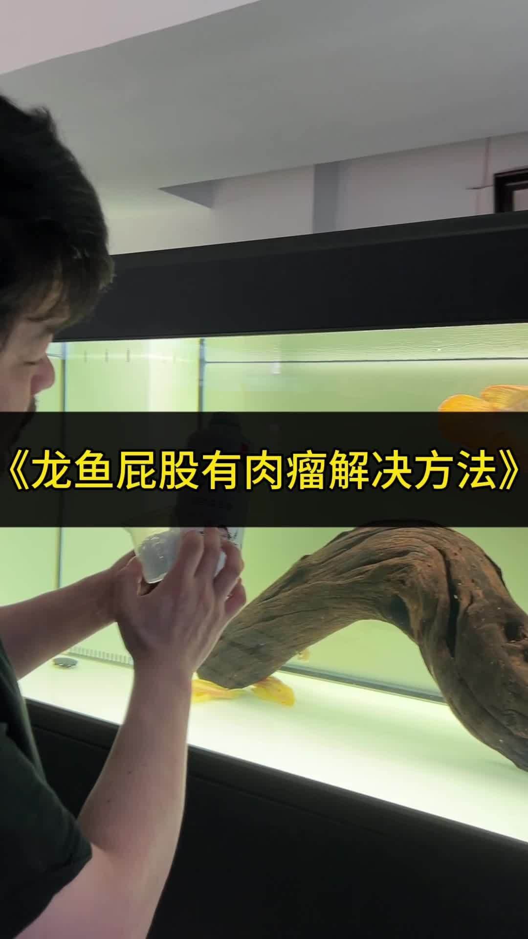 龍魚胡須長肉瘤后應該如何治療？，龍魚胡須長肉瘤后如何治療？