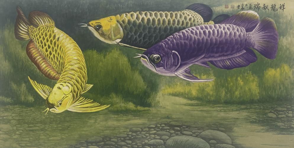 給我推薦一些鰲魚龍魚祥云圖的畫家，鰲魚龍魚祥云圖作品欣賞，鰲魚龍魚祥云圖的主題相契合 給我推薦一些鰲魚龍魚祥云圖的畫家，鰲魚龍魚祥云圖作品欣賞，鰲魚龍魚祥云圖的主題相契合 龍魚百科 第3張