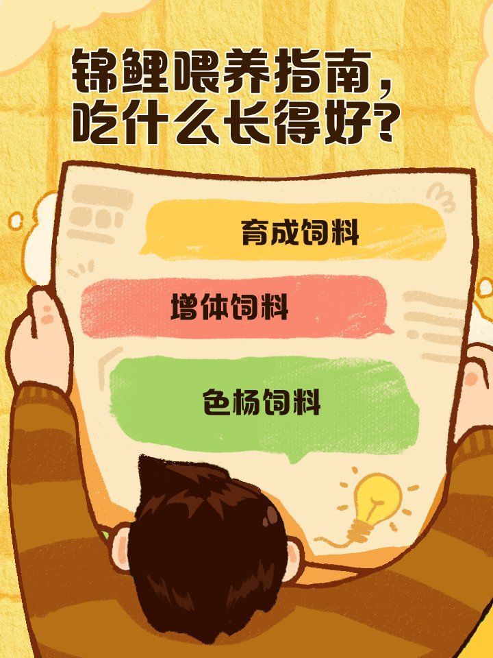 有哪些食物可以幫助錦鯉恢復，有哪些食物可以幫助錦鯉恢復體質