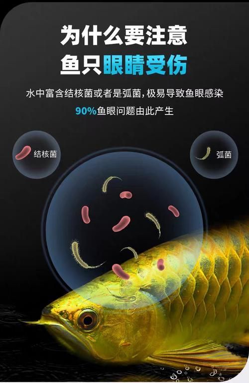 給我一些預防魚蒙眼的圖片，如何預防魚蒙眼