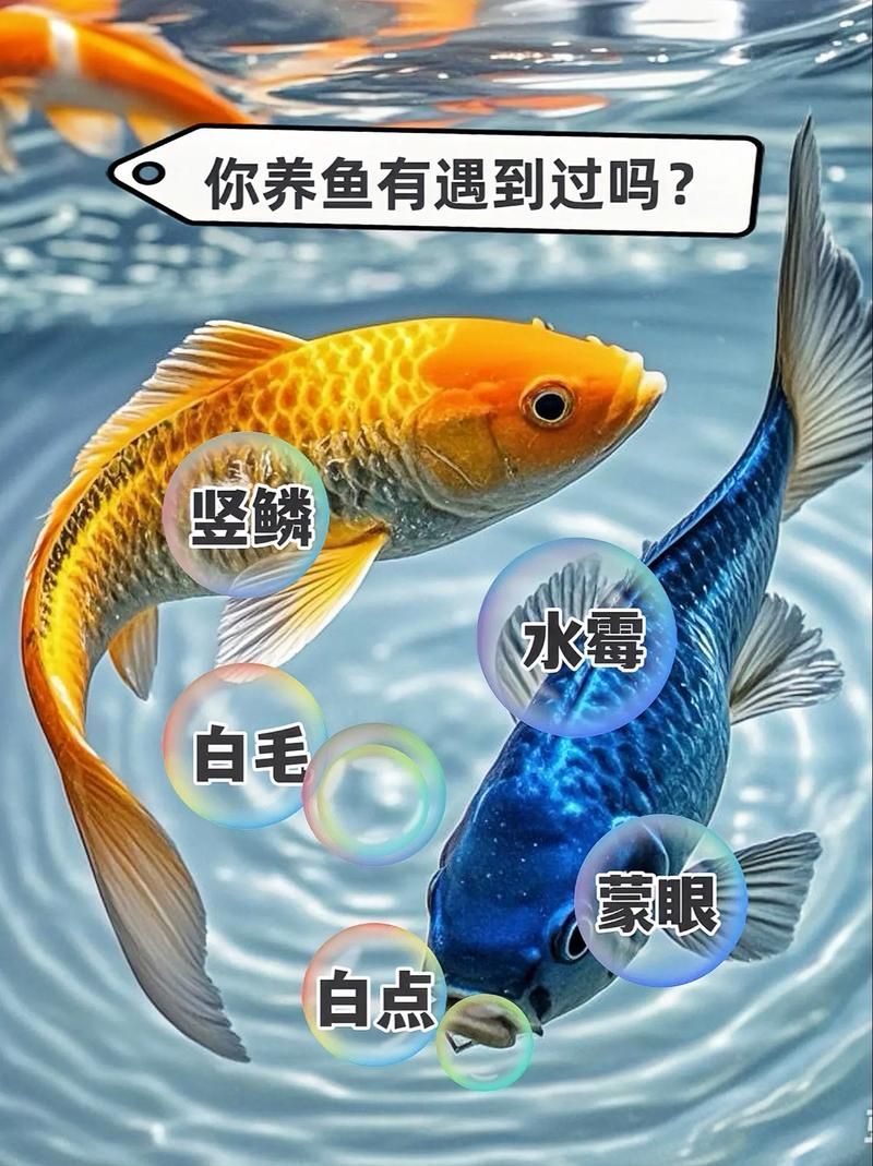 給我一些預防魚蒙眼的圖片，如何預防魚蒙眼