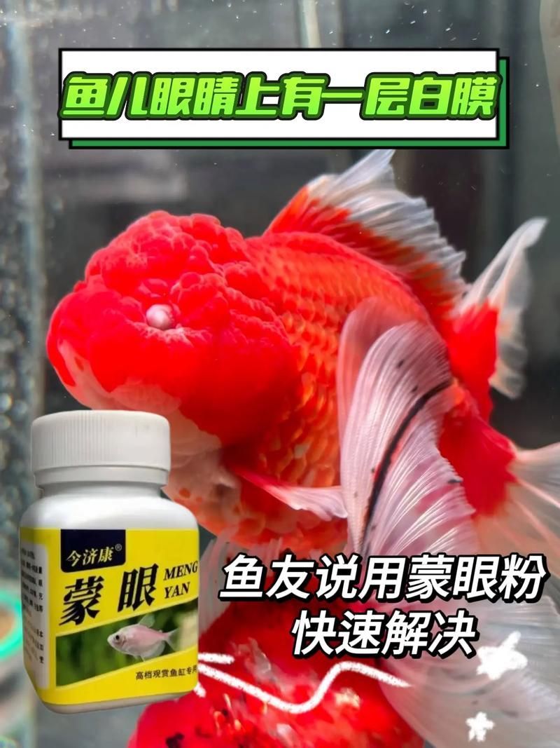 給我一些預防魚蒙眼的圖片，如何預防魚蒙眼