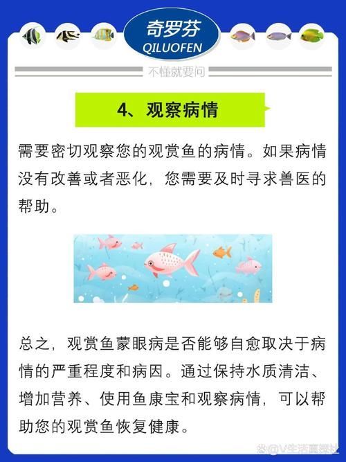 給我一些預防魚蒙眼的圖片，如何預防魚蒙眼