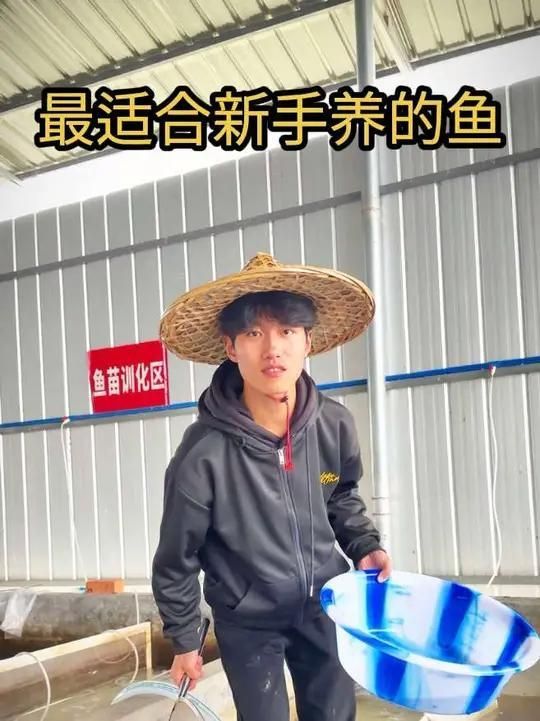 有哪些魚苗品種適合新手養殖？，哪些魚苗品種適合新手養殖？