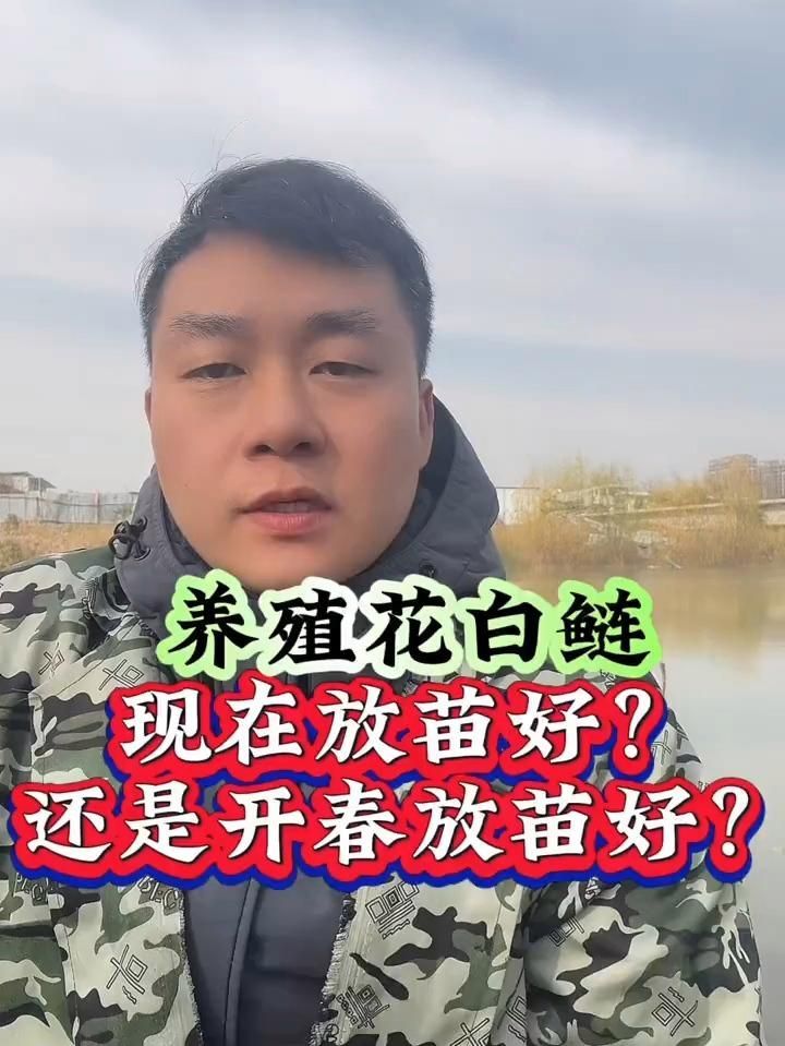 有哪些魚苗品種適合新手養殖？，哪些魚苗品種適合新手養殖？