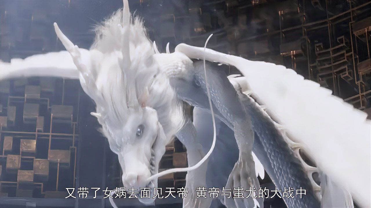 還有哪些生物被稱為“龍”，中國傳統文化中的“龍”是什么？