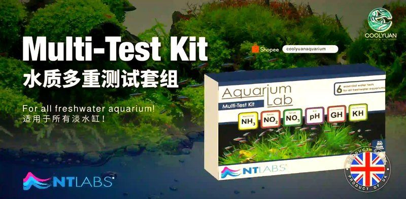 如何監測魚缸中的水質參數？