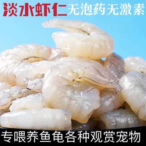 如何選擇適合龍魚的餌料？，如何選擇適合的龍魚餌料？