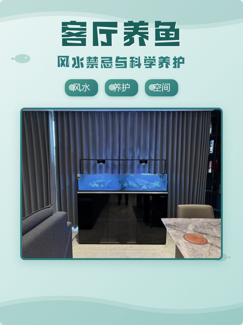 客廳養魚有哪些講究，客廳養魚有哪些禁忌與科學養護必知客廳養魚的關鍵要點