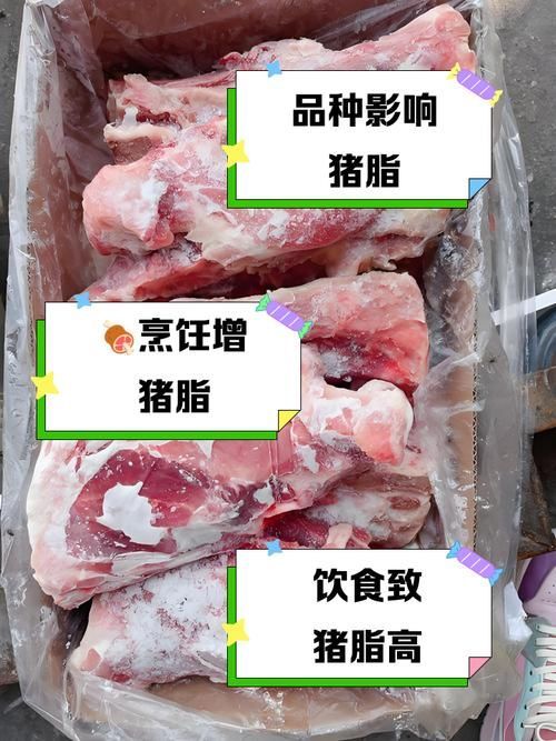 豬肉對龍魚有哪些具體營養成分，如何正確投喂豬肉給龍魚？