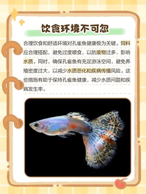 給我一些魚爛鰭爛尾的防治圖片，防治魚爛鰭爛尾的方法