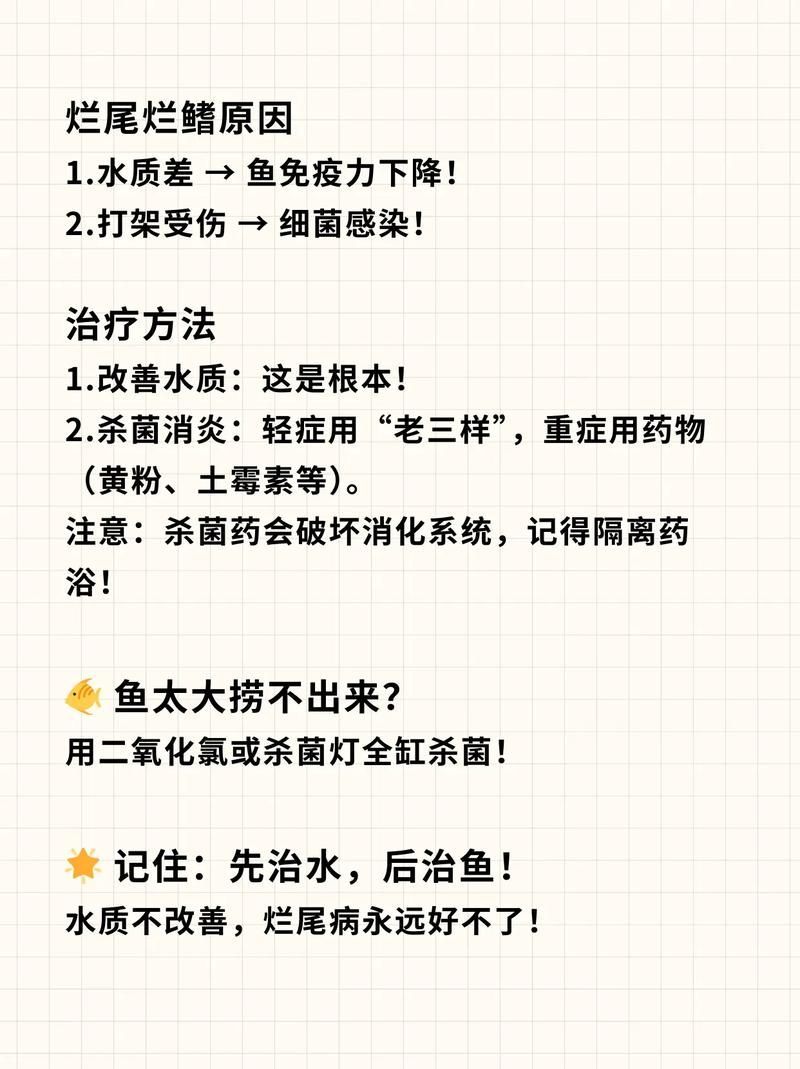 給我一些魚爛鰭爛尾的防治圖片，防治魚爛鰭爛尾的方法