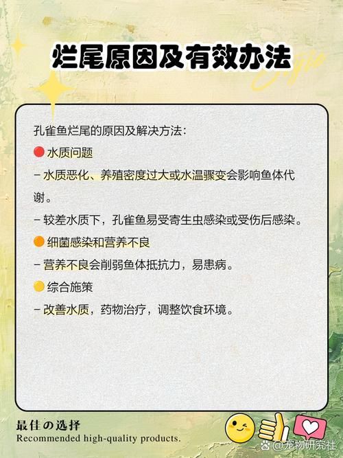 給我一些魚爛鰭爛尾的防治圖片，防治魚爛鰭爛尾的方法
