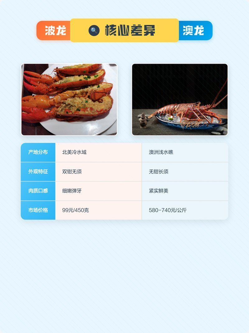 如何區分真假澳龍，如何區分真假澳龍（homarusamericanusornatus）