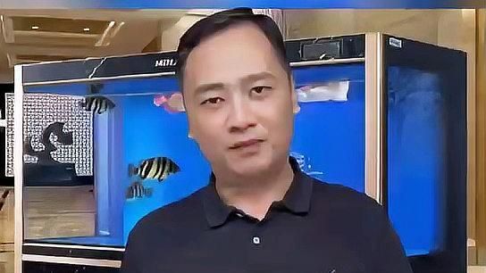 觀賞魚眼睛白膜會自愈嗎，觀賞魚眼睛白膜會自愈嗎觀賞魚眼睛白膜會自愈嗎 觀賞魚眼睛白膜會自愈嗎，觀賞魚眼睛白膜會自愈嗎觀賞魚眼睛白膜會自愈嗎 龍魚百科 第1張