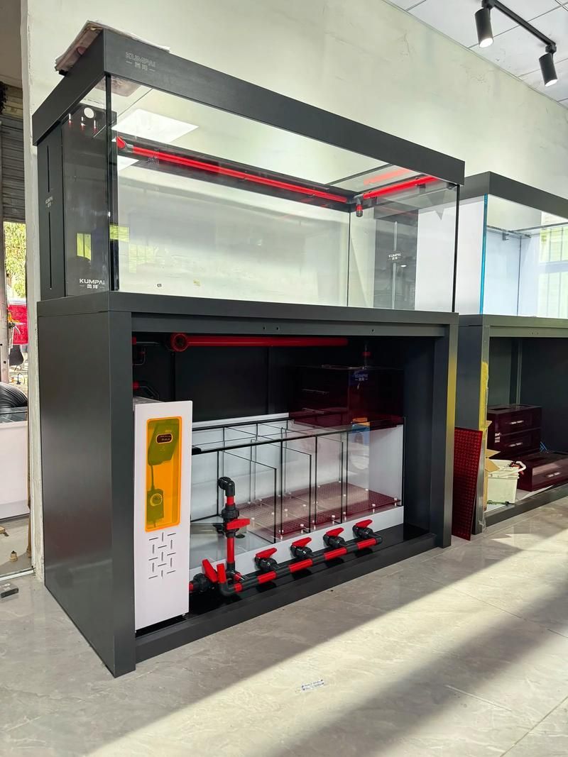 祥龍魚(yú)場(chǎng)有沒(méi)有定制款龍魚(yú)缸？，成都祥龍魚(yú)場(chǎng)有沒(méi)有定制款龍魚(yú)缸可以生成以下摘要