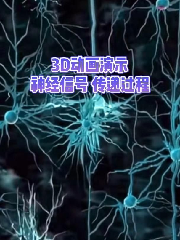 有沒有相關的科學解釋，arxiv論文助手