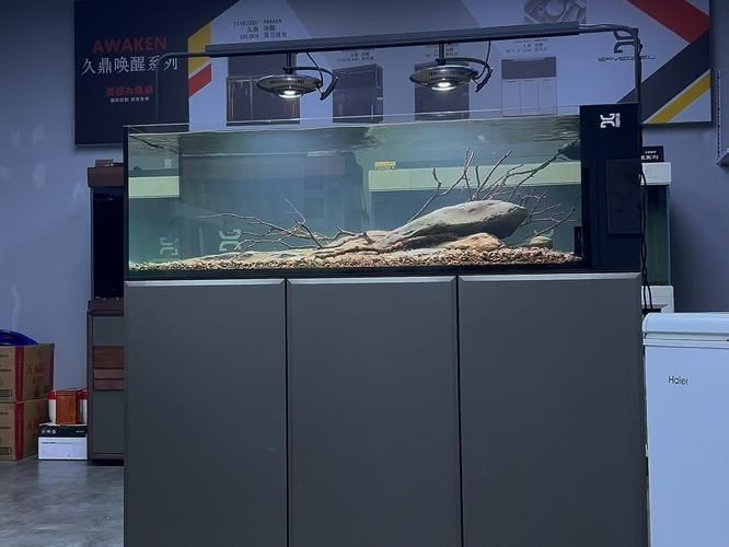 久鼎和彩鰈哪個(gè)更適合龍魚(yú)?,久鼎與彩鰈龍魚(yú)缸對(duì)比 龍魚(yú)百科 第2張 久鼎和彩鰈哪個(gè)更適合龍魚(yú)?,久鼎與彩鰈龍魚(yú)缸對(duì)比 久鼎和彩鰈哪個(gè)更適合龍魚(yú)?,久鼎與彩鰈龍魚(yú)缸對(duì)比 龍魚(yú)百科 第2張