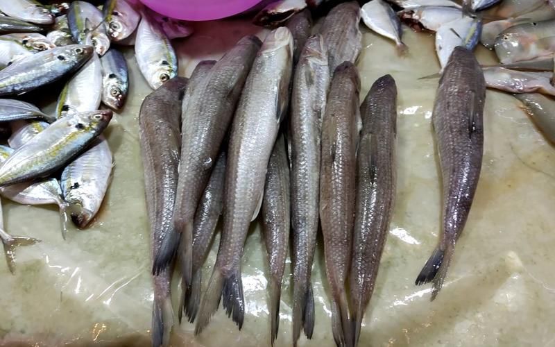 武漢龍魚美食哪家最好，武漢龍魚美食哪家最好吃武漢龍魚美食哪家口碑最好