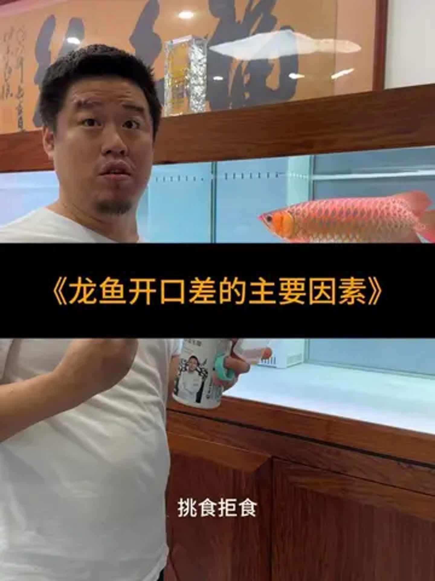 益生菌對龍魚有哪些具體好處？，益生菌對龍魚有哪些具體好處