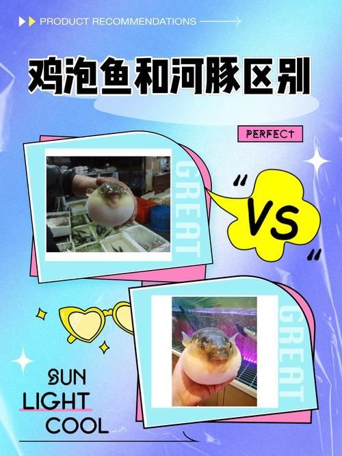 如何判斷魚群是否處于應激狀態(tài)，arxiv論文助手判斷魚群是否處于應激狀態(tài)下的應激狀態(tài)