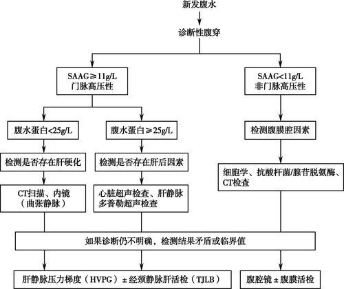 魚腹水如何治療最有效 魚腹水如何治療最有效 龍魚百科 第8張