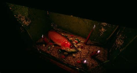 龍魚死亡后應該如何處理才吉利？，龍魚死亡后如何處理才吉利，1000字詳盡處理指南