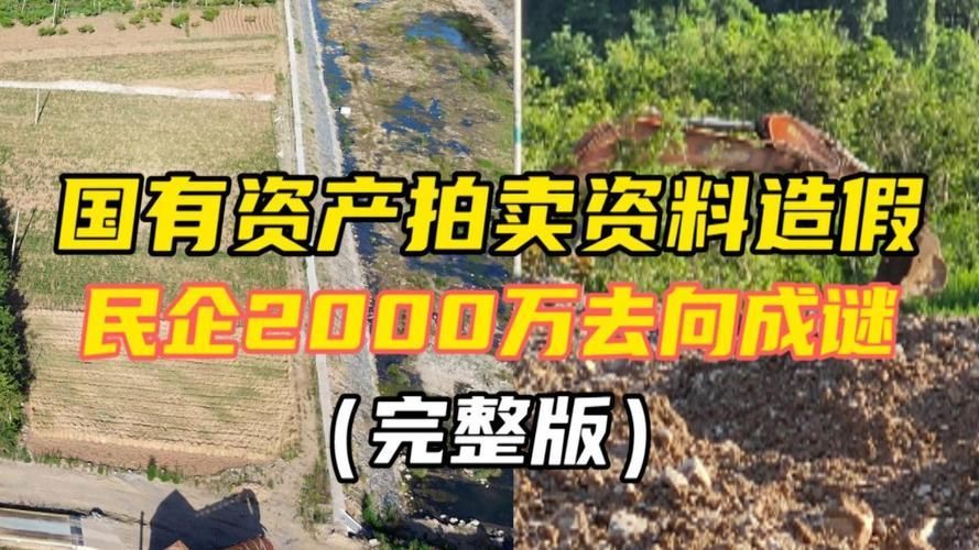能否提供國有資產拍賣的實例，國有資產拍賣實例